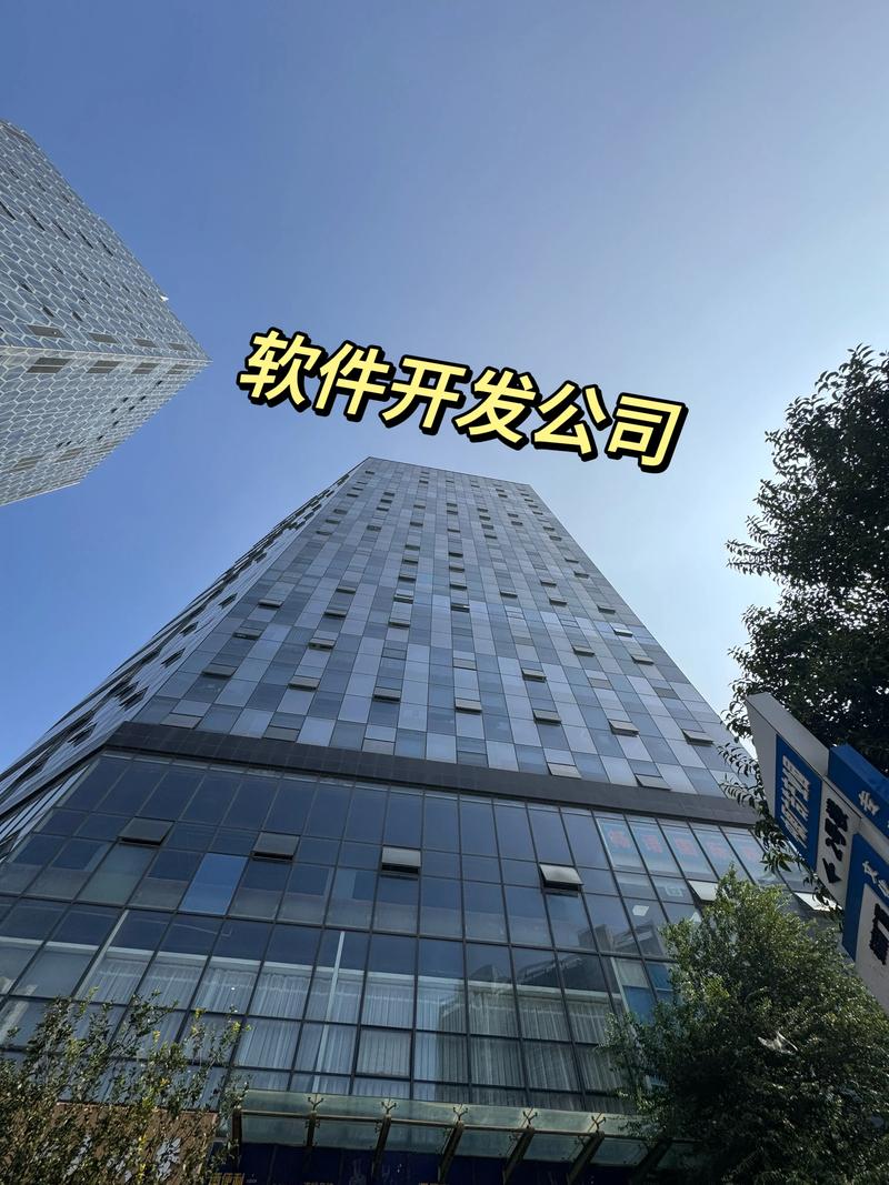 深圳软件开发行业:紧跟数字化转型步伐